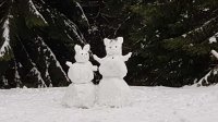 Obrazek przedstawia dwa bałwany ze śniegu w lesie