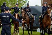 Obrazek przedstawia policjanta, który stoi i gestykuluje przed czterema policjantami na koniach