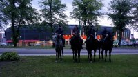 Obrazek przedstawia czterech policjantów stojących na koniach przodem do zdjęcia, w tle stadion miejski