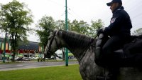Obrazek przedstawia policjanta na koniu, w tle Stadion Miejski w Tychach
