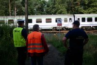 Funkcjonariusz Policji i straży kolei wraz z przedstawicielem PLK stoją na &quot;dzikim przejściu&quot; w rejonie torów kolejowych widać przejeżdżający pociąg.
