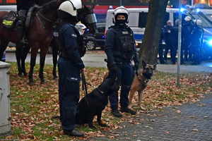 Policjanci w kamizelkach oraz hełmach stoją z psami, dalej widoczny policyjny radiowóz oraz konie służbowe.