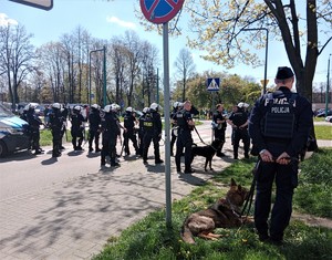 Na zdjęciu umundurowani policjanci oddziałów prewencji oraz przewodnicy z psami służbowymi.